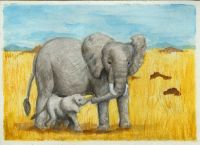 Elephant in tow